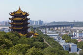 tkf005_2380228