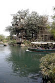 tkf005_2388573