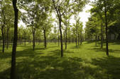 tkf005_235890