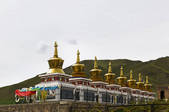 tkf005_295320