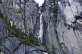 tkf005_295436