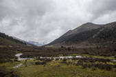 tkf005_295737