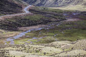 tkf005_295829