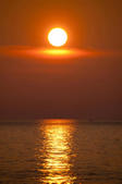 tkf005_301433