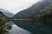 tkf005_301948