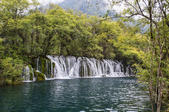 tkf005_301949
