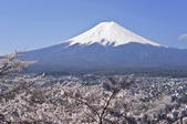 tkf005_302069
