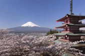 tkf005_302070