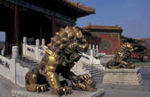 tkf005_302828