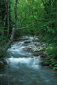 tkf005_302955