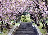 tkf005_303001