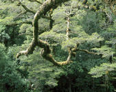 tkm005_104958