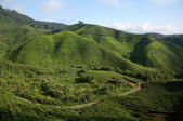 tkm005_105206
